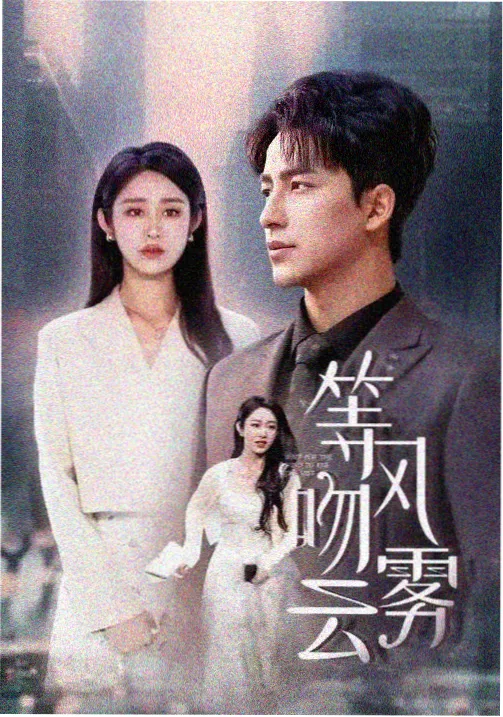 在线播放电视剧白塔计划海报